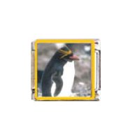 Penguin (ao) - enamel 9mm Italian charm