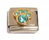 March Birthstone - Aquamarine - Pawprint 9mm Italian charm