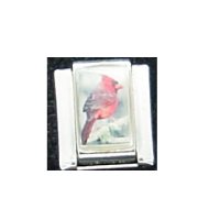 Cardinal bird (a) - photo 9mm Italian charm