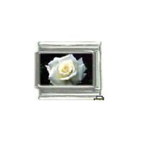 White rose - Flower photo - 9mm Italian charm