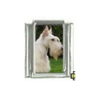 Dog charm - Scottish Terrier 4 - 9mm Italian charm