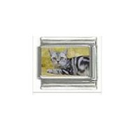 Cat - grey tabby cat (b) photo 9mm Italian charm