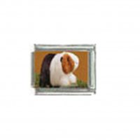 Guinea pig (m) photo charm - 9mm Italian charm