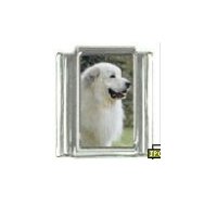 Dog charm - Pyrenees Mountain Dog 3 - 9mm Italian charm