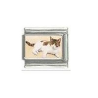 Cat - cat sleeping photo 9mm Italian charm