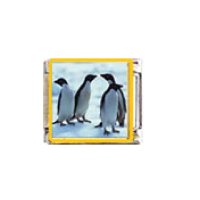 Penguin (m) - enamel 9mm Italian charm