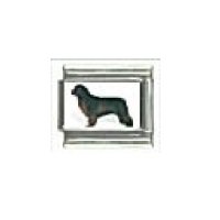 Dog charm - Newfoundland 1 - 9mm Italian charm