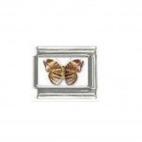 Butterfly photo a13 - 9mm Italian charm