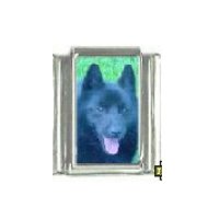 Dog charm - Schipperke 3 - 9mm Italian charm