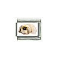 Dog charm - Pekingese 4 - 9mm Italian charm