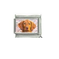 Dog charm - Vizsla 2 - 9mm Italian charm