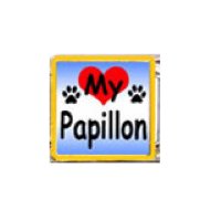 Love my Papillon - dog - enamel 9mm Italian charm