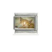 Cat - Ginger tabby cat (e) enamel 9mm Italian charm