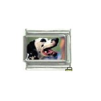 Dog charm - Dalmation 4 - 9mm Italian charm