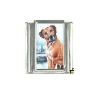 Dog charm - Rhodesian Ridgeback 4 - 9mm Italian charm