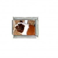 Guinea pig (j) photo charm - 9mm Italian charm