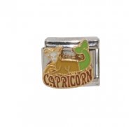 Capricorn Word enamel charm (22/12-20/1) 9mm Italian charm