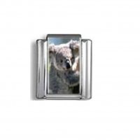 Koala bear (b) - photo 9mm Italian charm