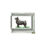 Dog charm - Schipperke 1 - 9mm Italian charm