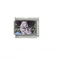 White tiger (j) photo - 9mm Italian charm