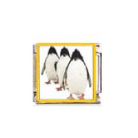 Penguin (af) - enamel 9mm Italian charm