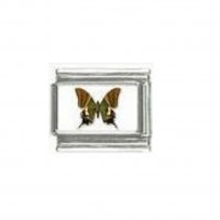 Butterfly photo a116 - 9mm Italian charm