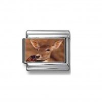 Baby Deer - photo 9mm Italian charm