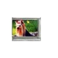 Dog charm - Yorkshire Terrier 19 - photo 9mm Italian Charm