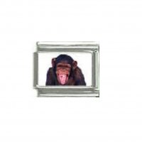 Chimpanzee - photo 9mm Italian charm