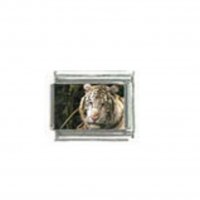 White tiger (a) photo - 9mm Italian charm