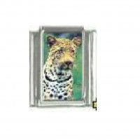 Leopard - photo 9mm Italian charm