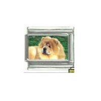 Dog charm - Chow Chow 4 - 9mm Italian charm