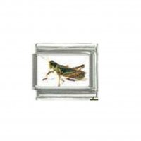 Grasshopper cricket - photo 9mm Italian charm