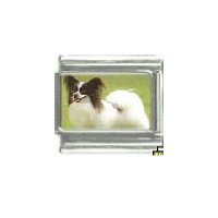 Dog charm - Papillion 2 - 9mm Italian charm