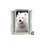 Dog charm - Samoyed 5 - 9mm Italian charm