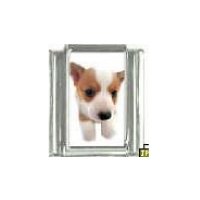 Dog charm - Corgi 3 - 9mm Italian charm