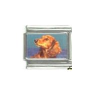 Dog charm - Dachshund 1 - 9mm Italian charm