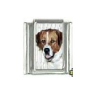 Dog charm - St Bernard 5 - 9mm Italian charm