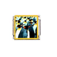 Penguin (aj) - enamel 9mm Italian charm