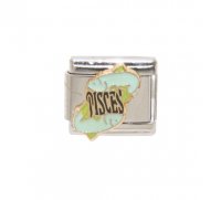Pisces Word enamel charm (20/2-20/3) 9mm Italian charm