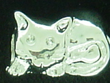 EB117 - Cat